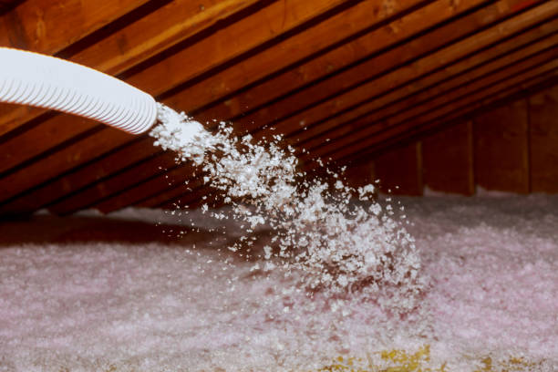 Best Insulation Installation Services in Solon, IA